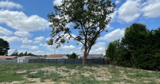 Terrain constructible Saint-andré-de-cubzac (Gironde 33)