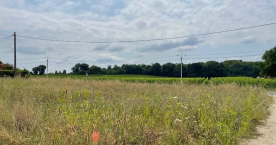 Terrain constructible Saint-gervais  (Gironde 33)