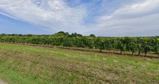 Terrain constructible Targon  (Gironde 33)