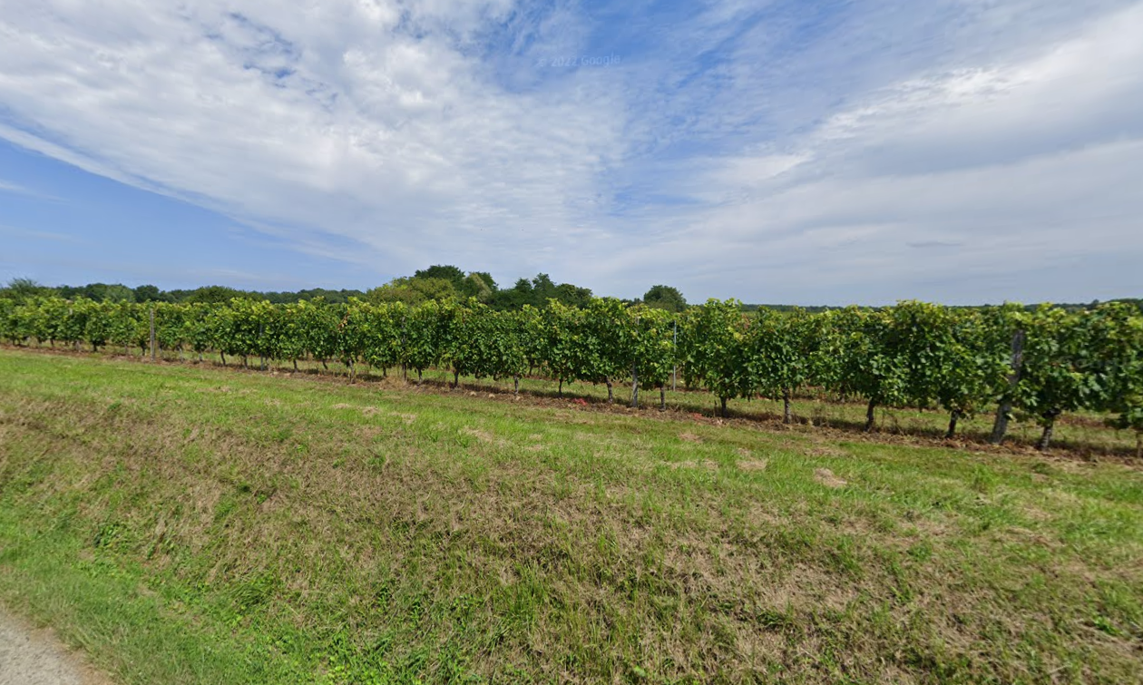 Terrain constructible Targon  (Gironde 33)