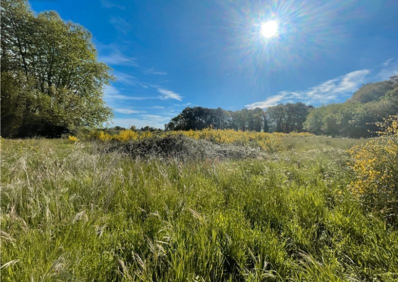 Terrain constructible Dax  (Landes 40)