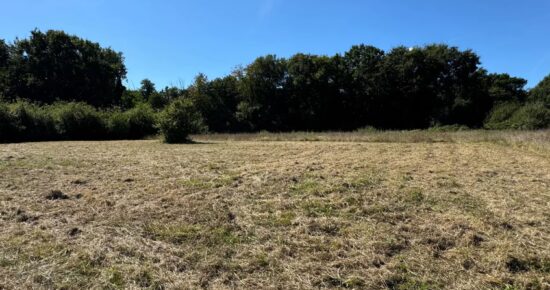 Terrain constructible Saint-palais-sur-mer  (Charente-Maritime 17)