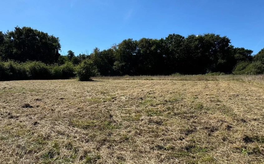 Terrain constructible Saint-palais-sur-mer  (Charente-Maritime 17)