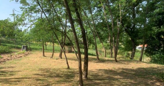 Terrain constructible Bassanne  (Gironde 33)