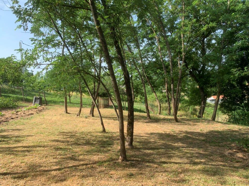 Terrain constructible Bassanne  (Gironde 33)