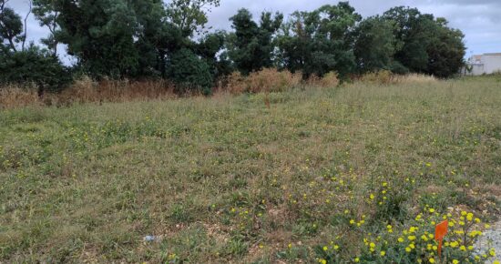 Terrain constructible La jarrie  (Charente-Maritime 17)