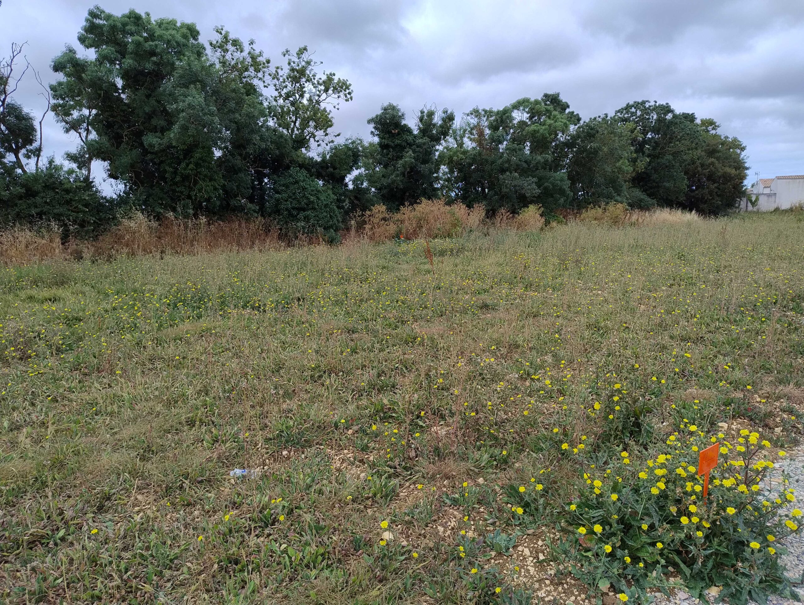 Terrain constructible La jarrie  (Charente-Maritime 17)