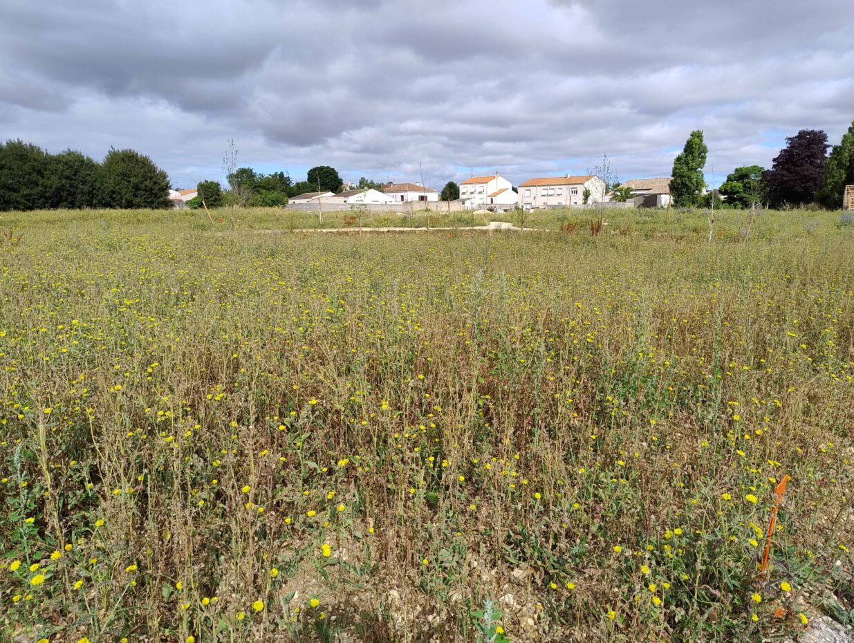 Terrain constructible La jarrie  (Charente-Maritime 17)