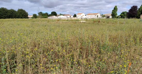 Terrain constructible La jarrie  (Charente-Maritime 17)