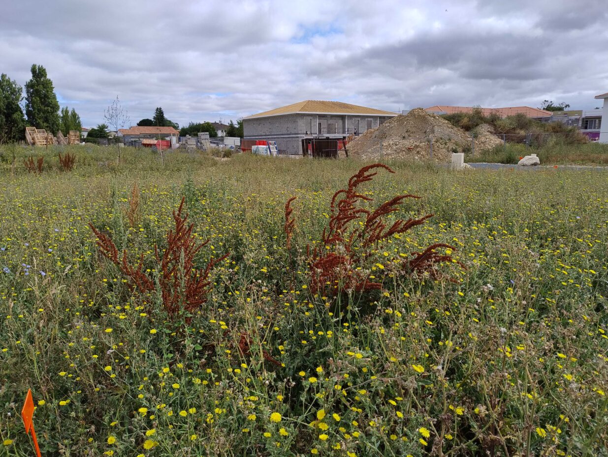 Terrain constructible La jarrie  (Charente-Maritime 17)