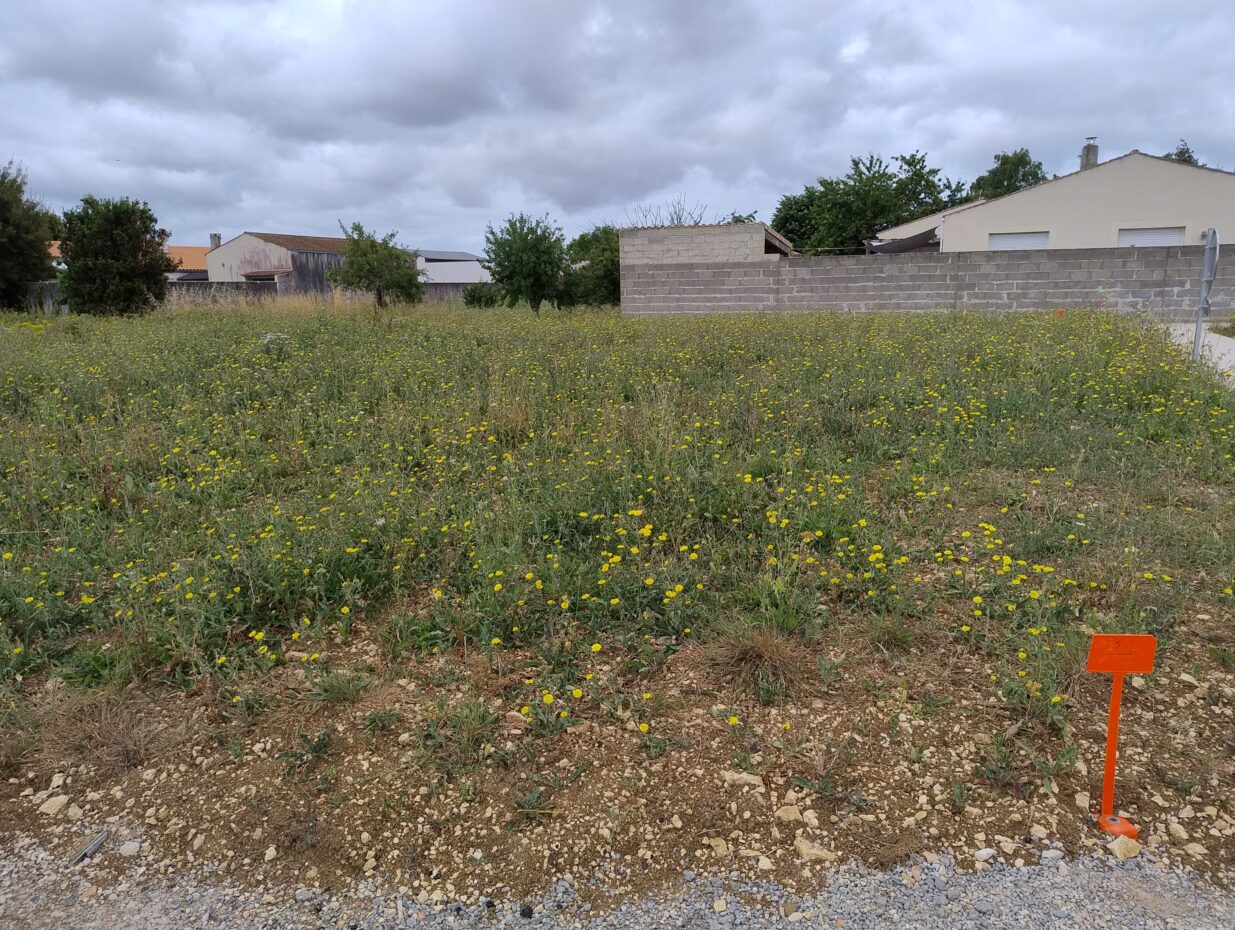 Terrain constructible La jarrie  (Charente-Maritime 17)