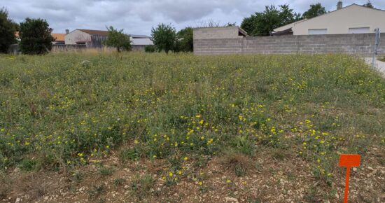Terrain constructible La jarrie  (Charente-Maritime 17)