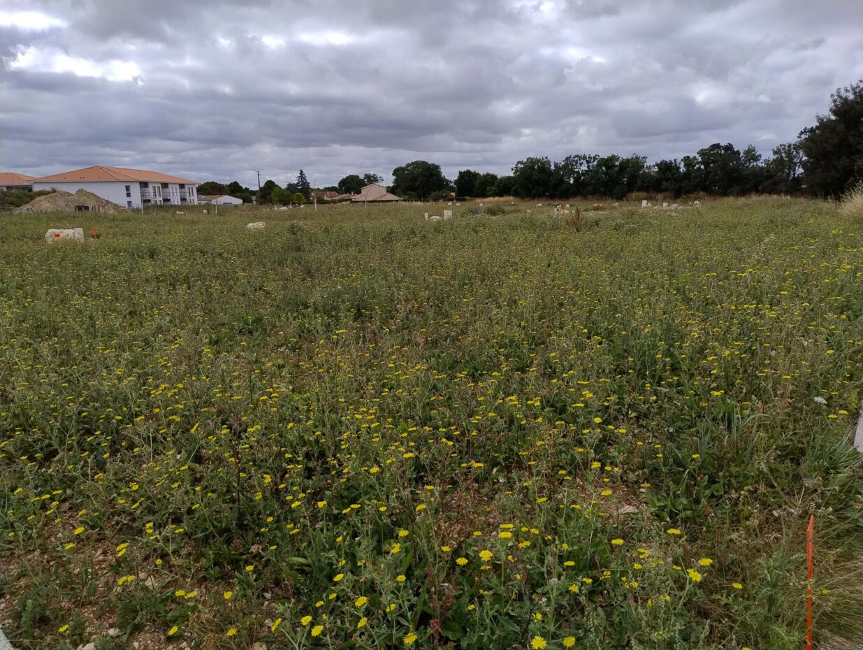 Terrain constructible La jarrie  (Charente-Maritime 17)