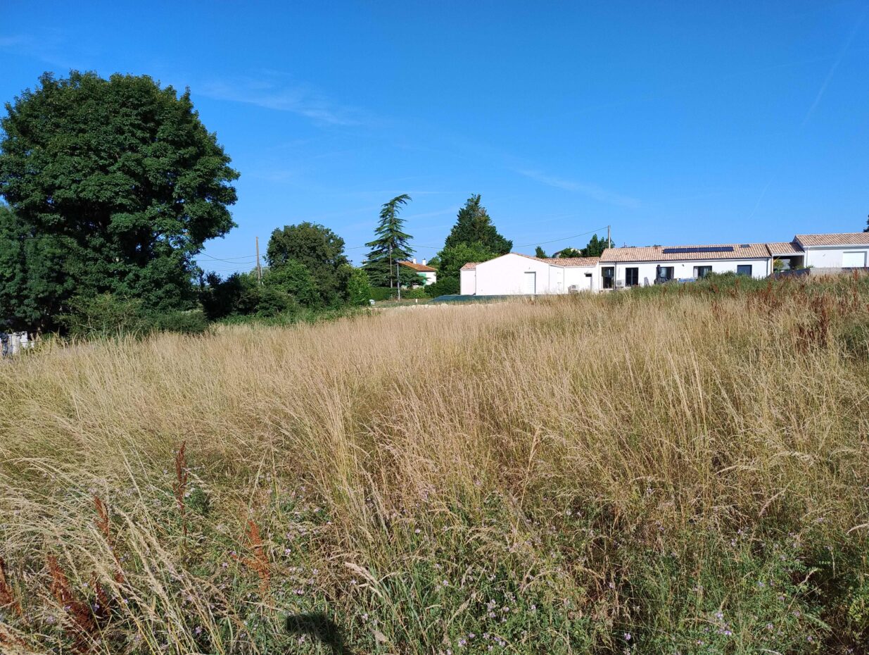 Terrain constructible Pont-l'abbé-d'arnoult  (Charente-Maritime 17)