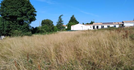 Terrain constructible Pont-l'abbé-d'arnoult  (Charente-Maritime 17)