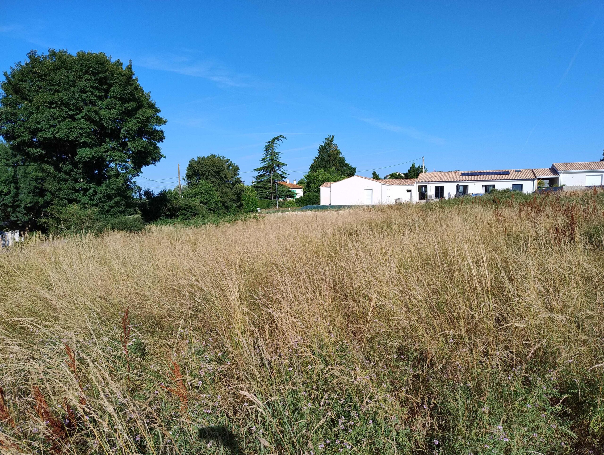 Terrain constructible Pont-l'abbé-d'arnoult  (Charente-Maritime 17)