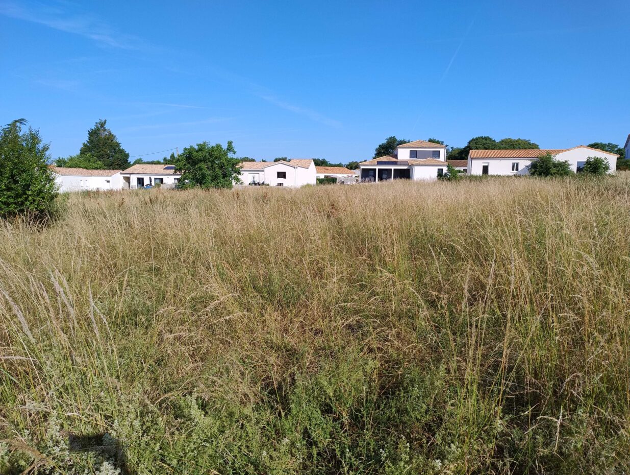 Terrain constructible Pont-l'abbé-d'arnoult  (Charente-Maritime 17)