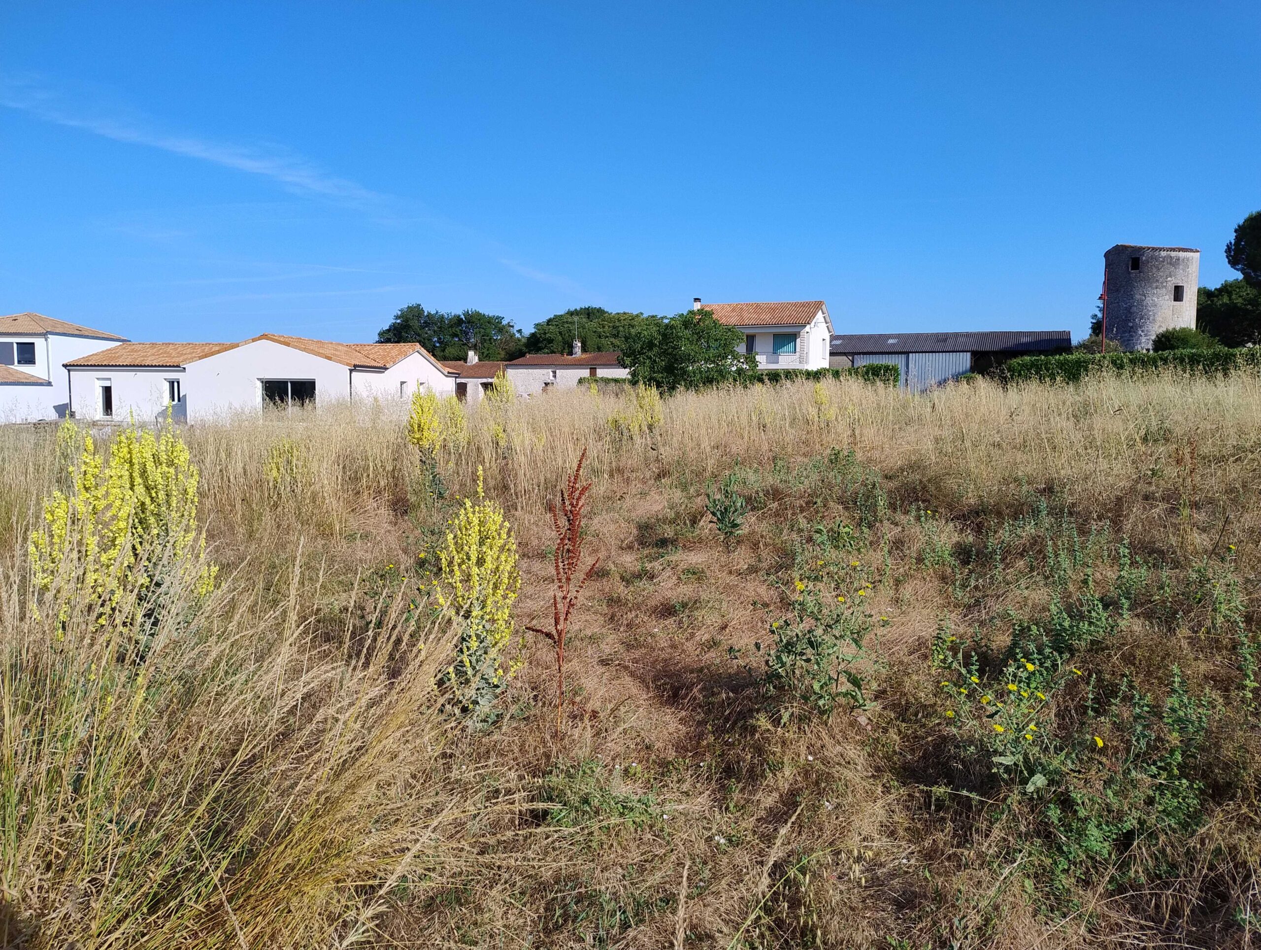 Terrain constructible Pont-l'abbé-d'arnoult  (Charente-Maritime 17)