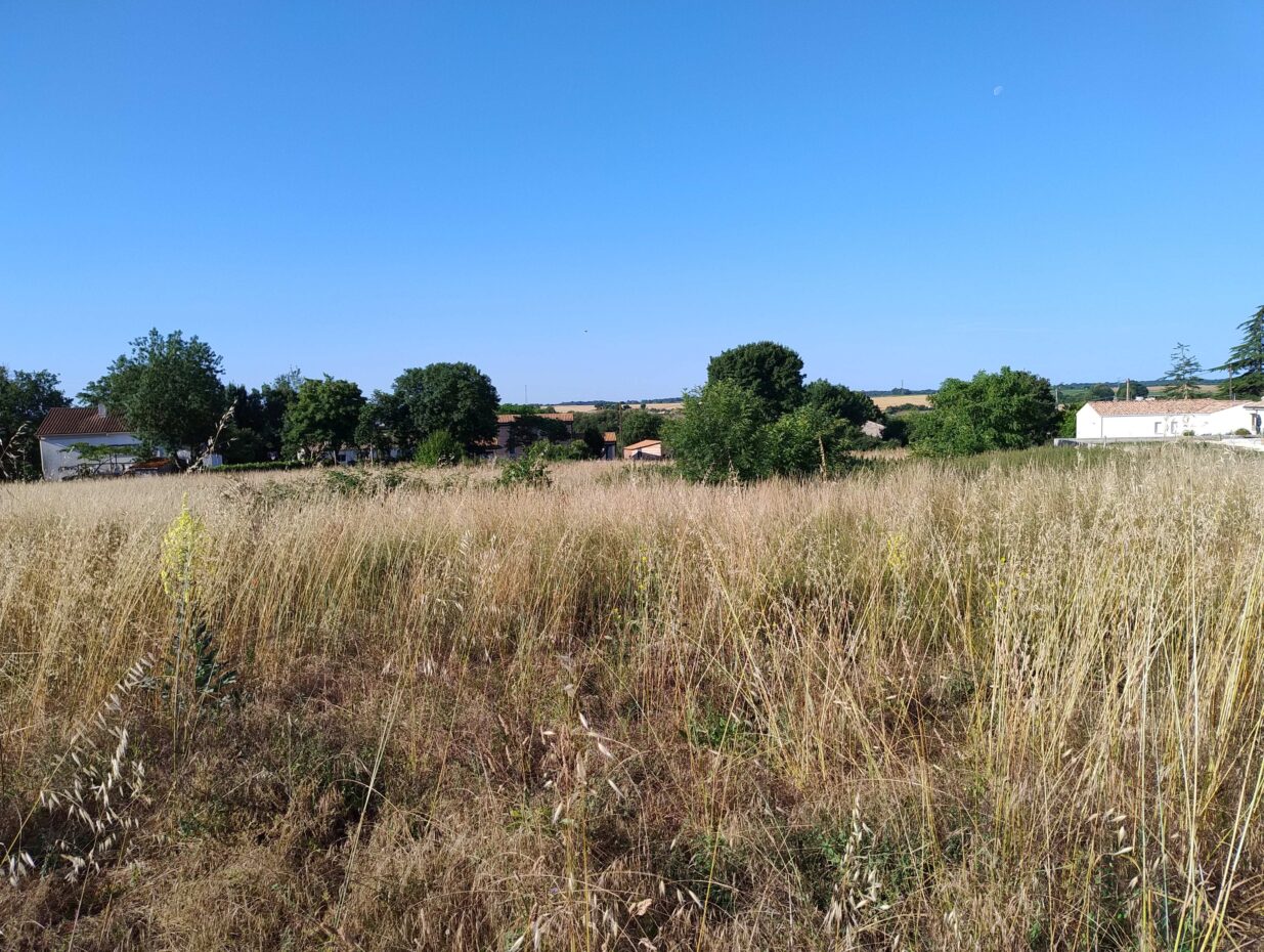 Terrain constructible Pont-l'abbé-d'arnoult  (Charente-Maritime 17)