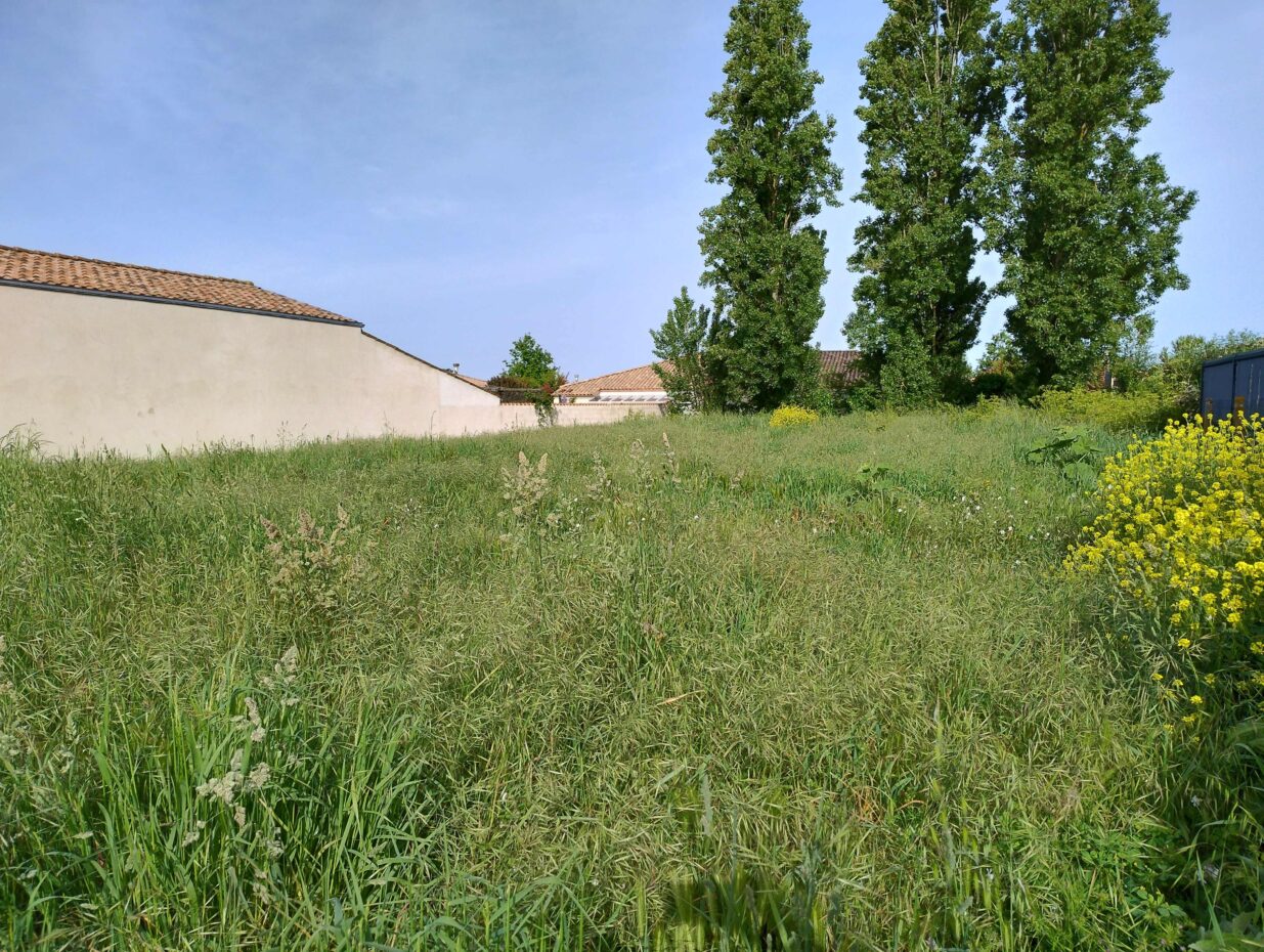 Terrain constructible Saint-laurent-de-la-prée  (Charente-Maritime 17)