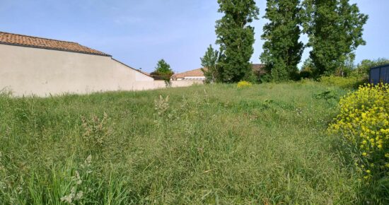 Terrain constructible Saint-laurent-de-la-prée  (Charente-Maritime 17)
