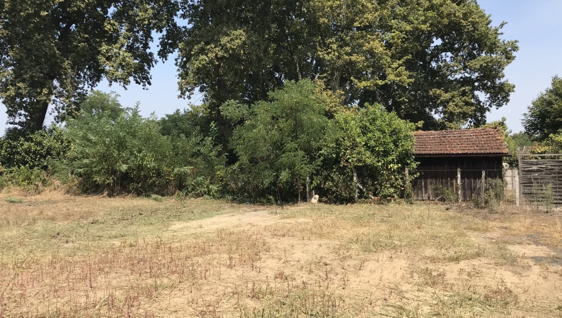 Terrain constructible Roaillan  (Gironde 33)