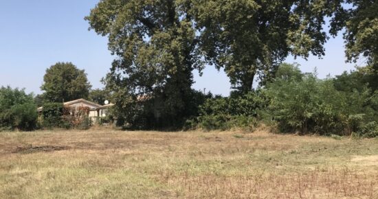 Terrain constructible Roaillan  (Gironde 33)