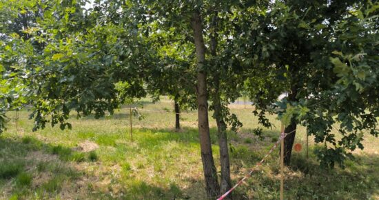 Terrain constructible Biscarrosse  (Landes 40)