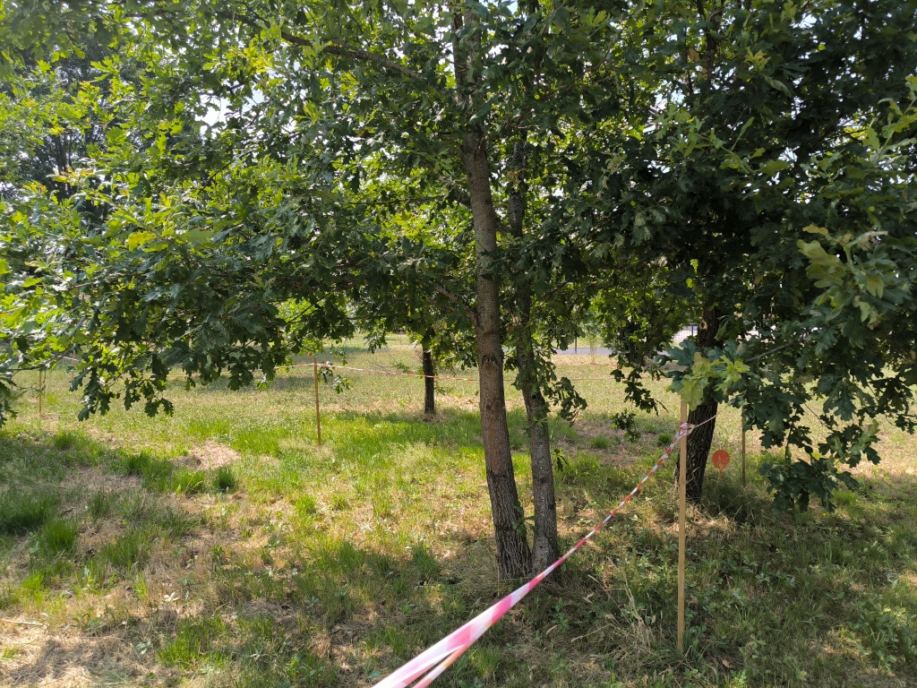 Terrain constructible Biscarrosse  (Landes 40)