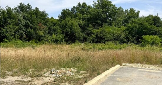 Terrain constructible Breuillet  (Charente-Maritime 17)