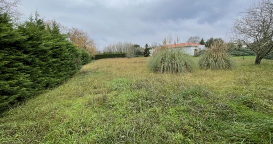 Terrain constructible Cestas  (Gironde 33)