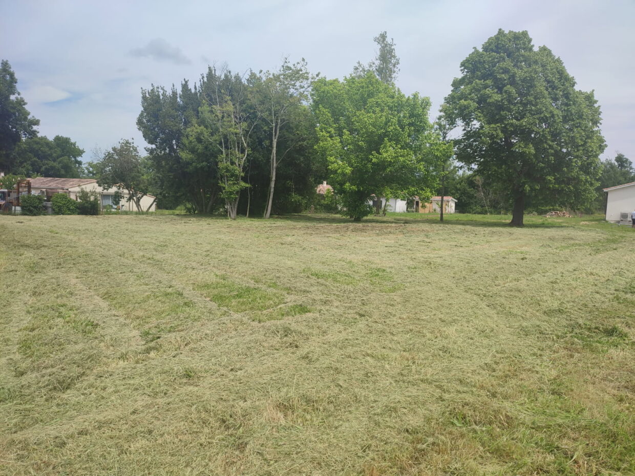 Terrain constructible Saint-denis-de-pile  (Gironde 33)