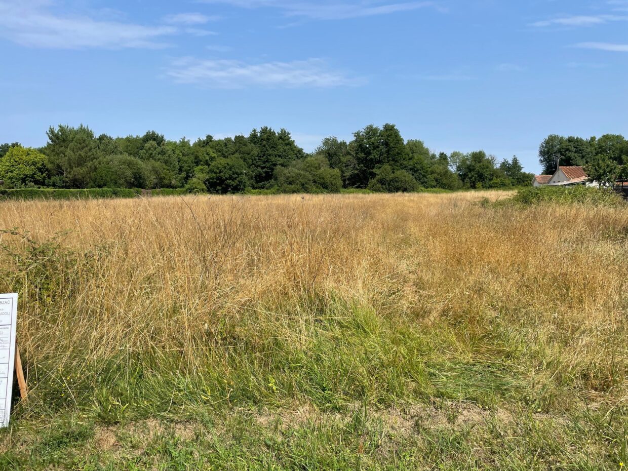 Maison avec terrain Bussac-forêt  (Charente-Maritime 17)