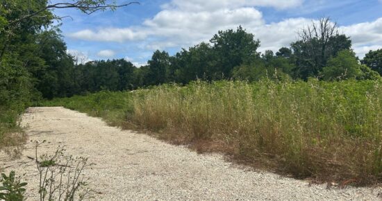 Terrain constructible Saint-selve  (Gironde 33)