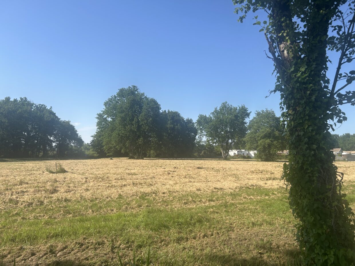 Terrain constructible Margaux-cantenac  (Gironde 33)