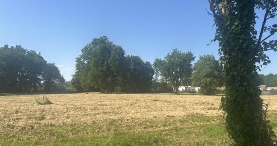Terrain constructible Margaux-cantenac  (Gironde 33)