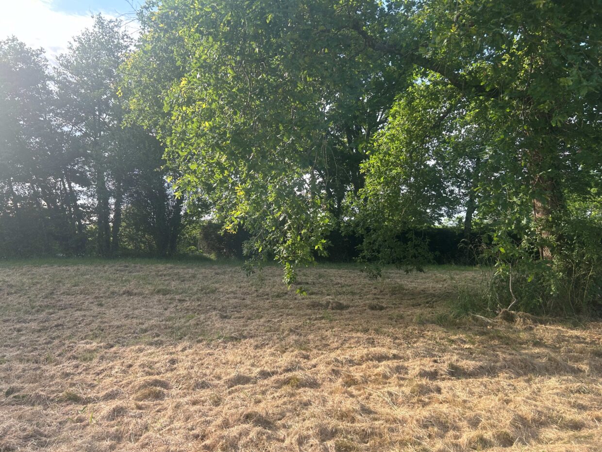 Terrain constructible Margaux-cantenac  (Gironde 33)