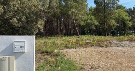 Terrain constructible Saint-martin-d'oney  (Landes 40)