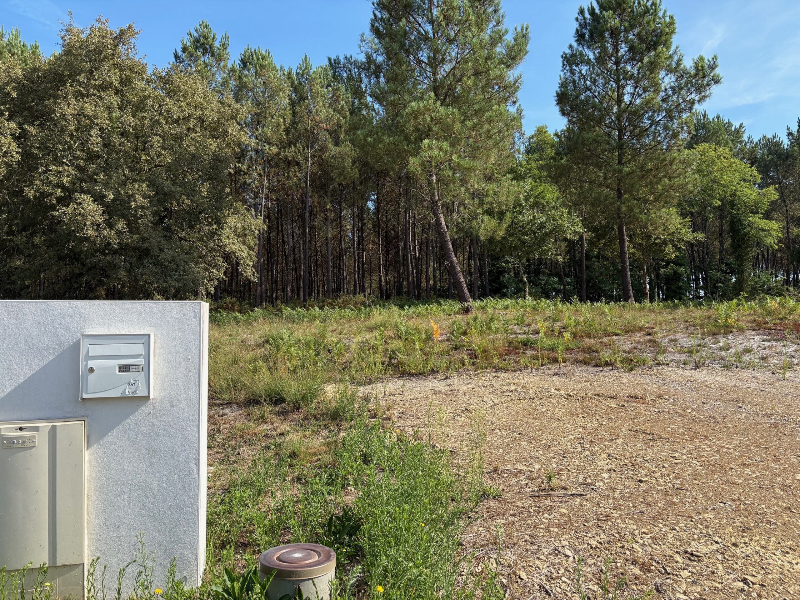 Terrain constructible Saint-martin-d'oney  (Landes 40)