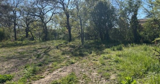 Terrain constructible Tournefeuille  (Haute Garonne 31)