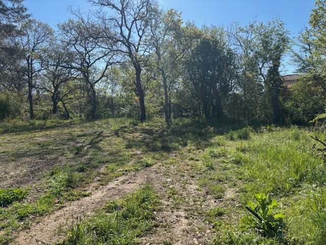 Terrain constructible Tournefeuille  (Haute Garonne 31)