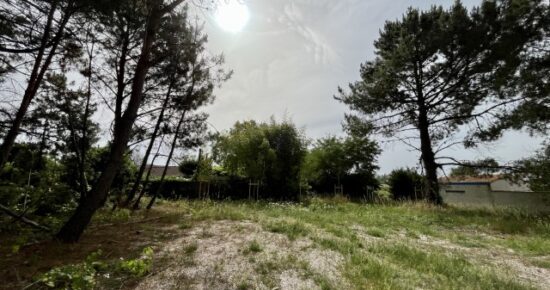 Terrain constructible Lacanau  (Gironde 33)