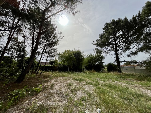 Terrain constructible Lacanau  (Gironde 33)