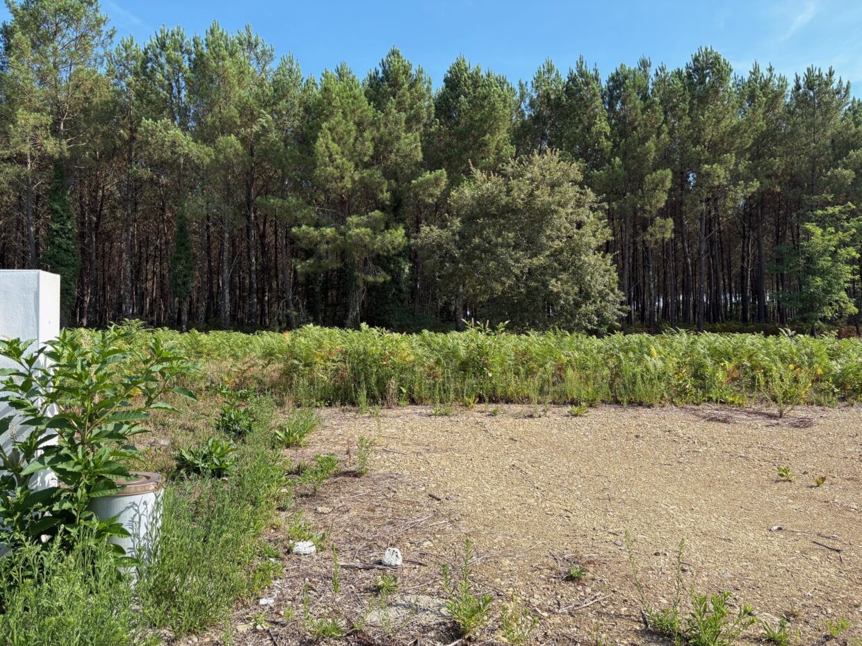 Terrain constructible Saint-martin-d'oney  (Landes 40)