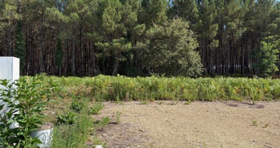 Terrain constructible Saint-martin-d'oney  (Landes 40)