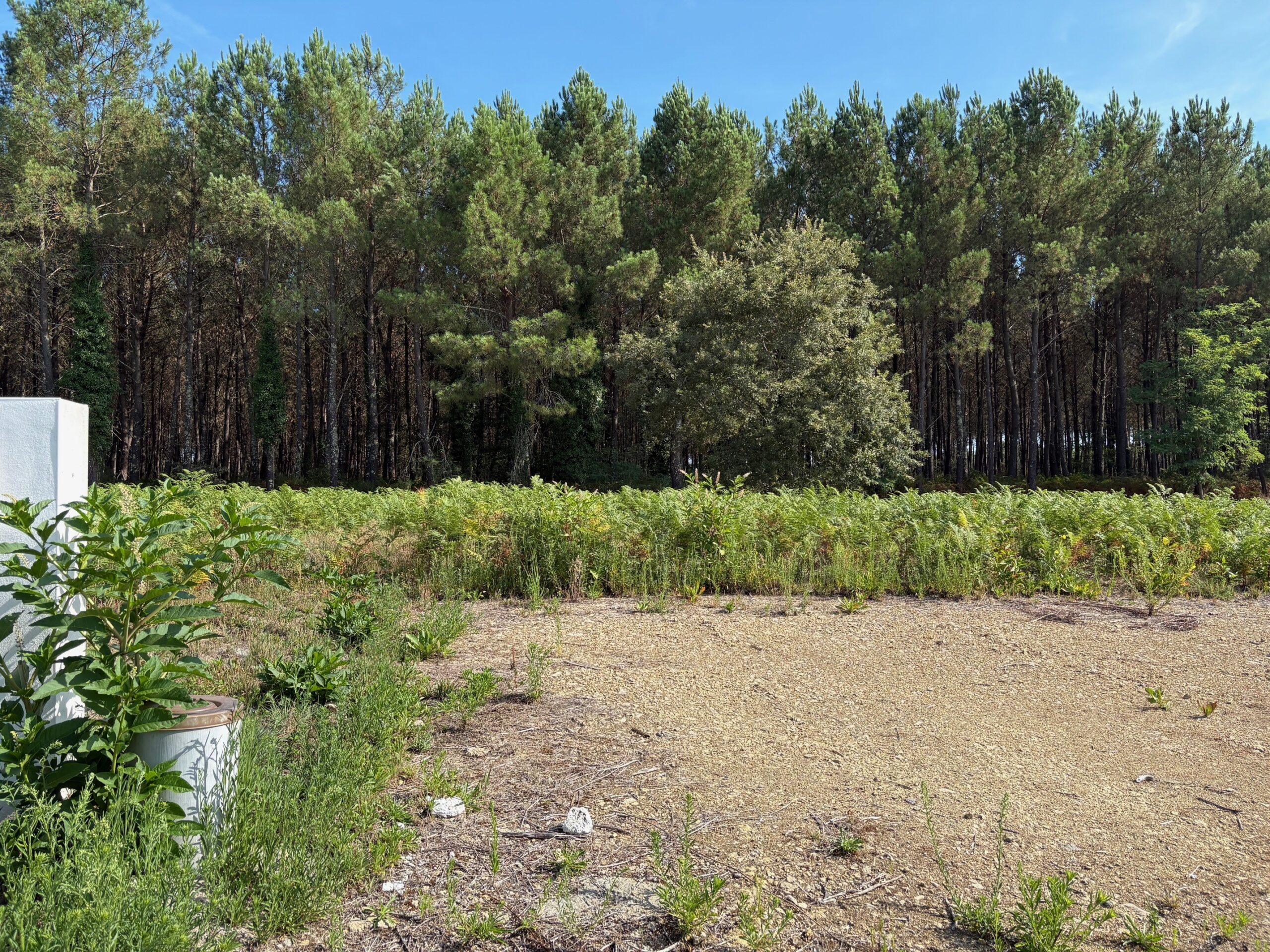 Terrain constructible Saint-martin-d'oney  (Landes 40)
