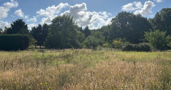 Terrain constructible Villebrumier  (Tarn et Garonne 82)