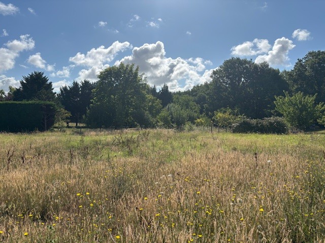 Terrain constructible Villebrumier  (Tarn et Garonne 82)