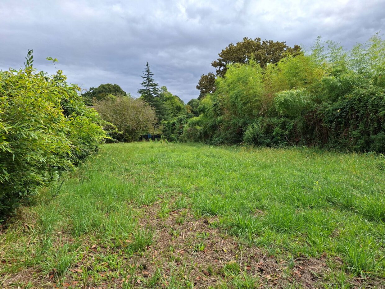 Terrain constructible Dax  (Landes 40)