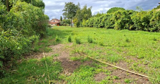Terrain constructible Dax  (Landes 40)